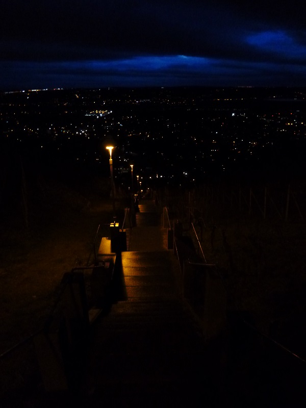 Radebeul Spitzhaustreppe in der Nacht