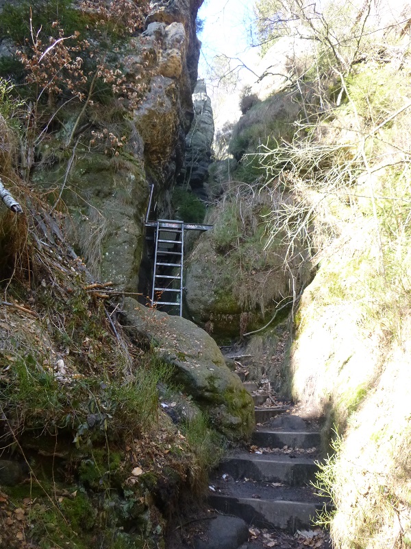 Wildschuetzensteig